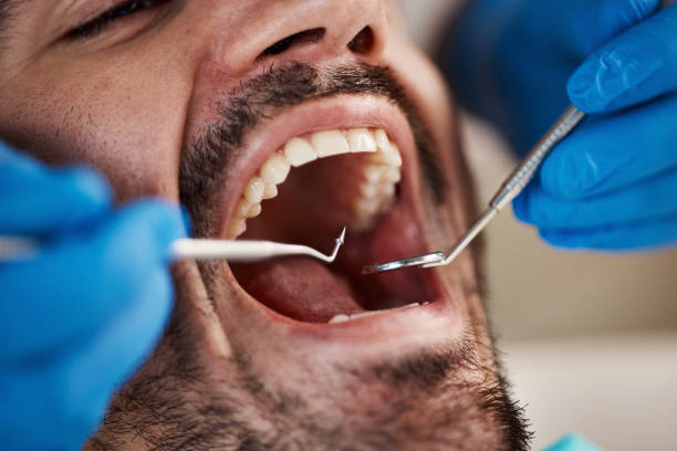 Best Emergency Dental Services for Seniors in Hallstead, PA
